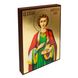 Ікона Святий Пантелеймон Цілитель 20 Х 26 см L 275 фото 4