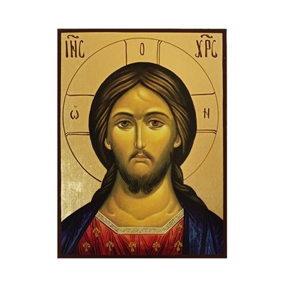 Икона Иисуса Христа Спасителя 14 Х 19 см 734 фото