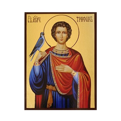 Ікона Святий Трифон Апамейський 14 Х 19 см L 694 фото