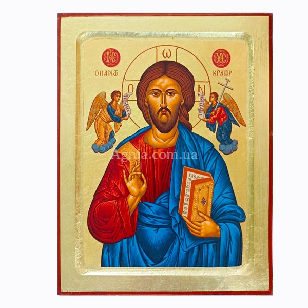 Ікона Спасителя Ісуса Христа вручну розписана на холсті 22,5 Х 29 см m 09 фото