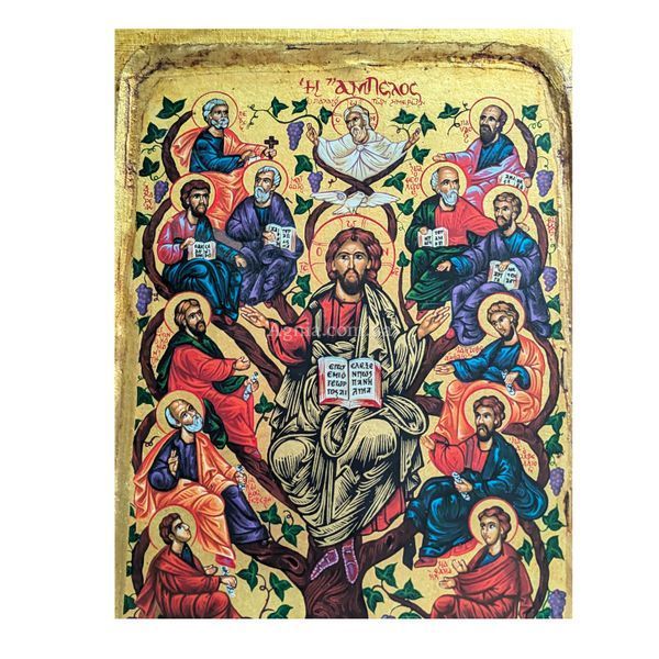Писана грецька ікона Ісус Христос Лоза Істинна 18 &times; 24 см M 370 фото