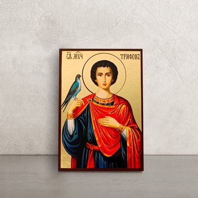 Икона Святой Трифон Апамейский 10 Х 14 см L 569 фото