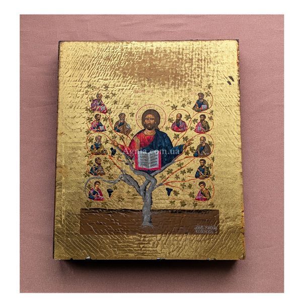 Писана грецька ікона Ісус Христос Лоза Істинна 15 &times; 19 см M 372 D фото