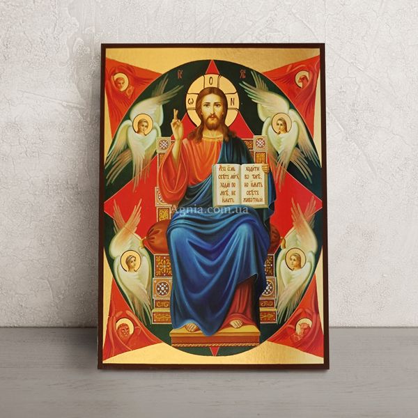 Икона Иисус Христос Спас в Силах 20 Х 26 см L 264 фото